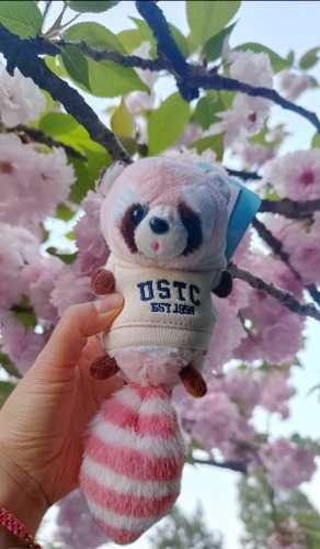 MEITU_20250406_183530138.jpg